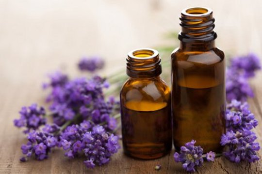 How to Use Essential Oils as a Healing Modality How to Use Essential Oils as a Healing Modality